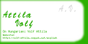 attila volf business card